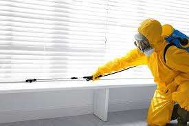 Best Indoor Pest Control  in Goodyear, AZ